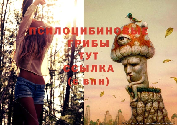 кокаин премиум Арсеньев