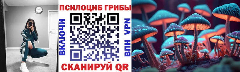 Псилоцибиновые грибы Psilocybine cubensis  hydra ONION  Мценск 