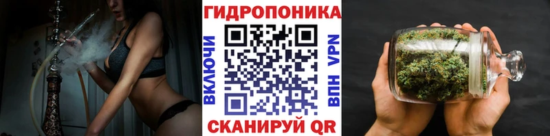 блэк спрут ссылки  Мценск  Каннабис семена  как найти  